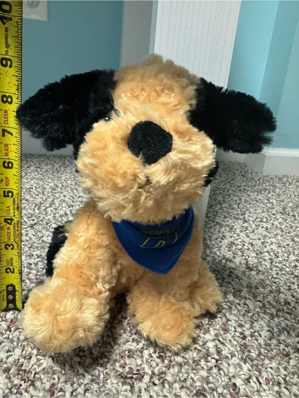 Hofstra Plush stuffed animal with Blue Bandana